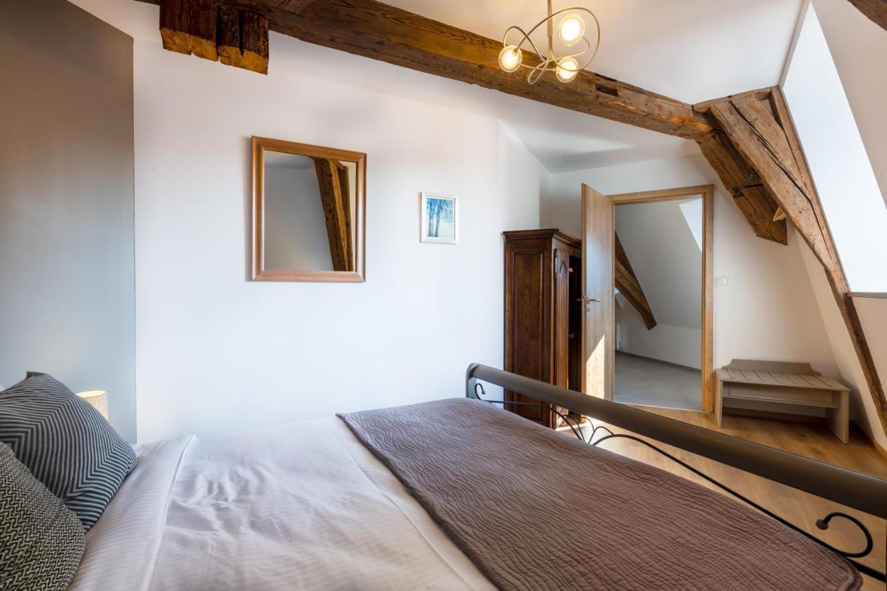 Le Rhenanus Jacques Spiegel - Ideal Pour Un Couple - Appartement Au Calme - Parking Gratuit Sélestat Exterior foto