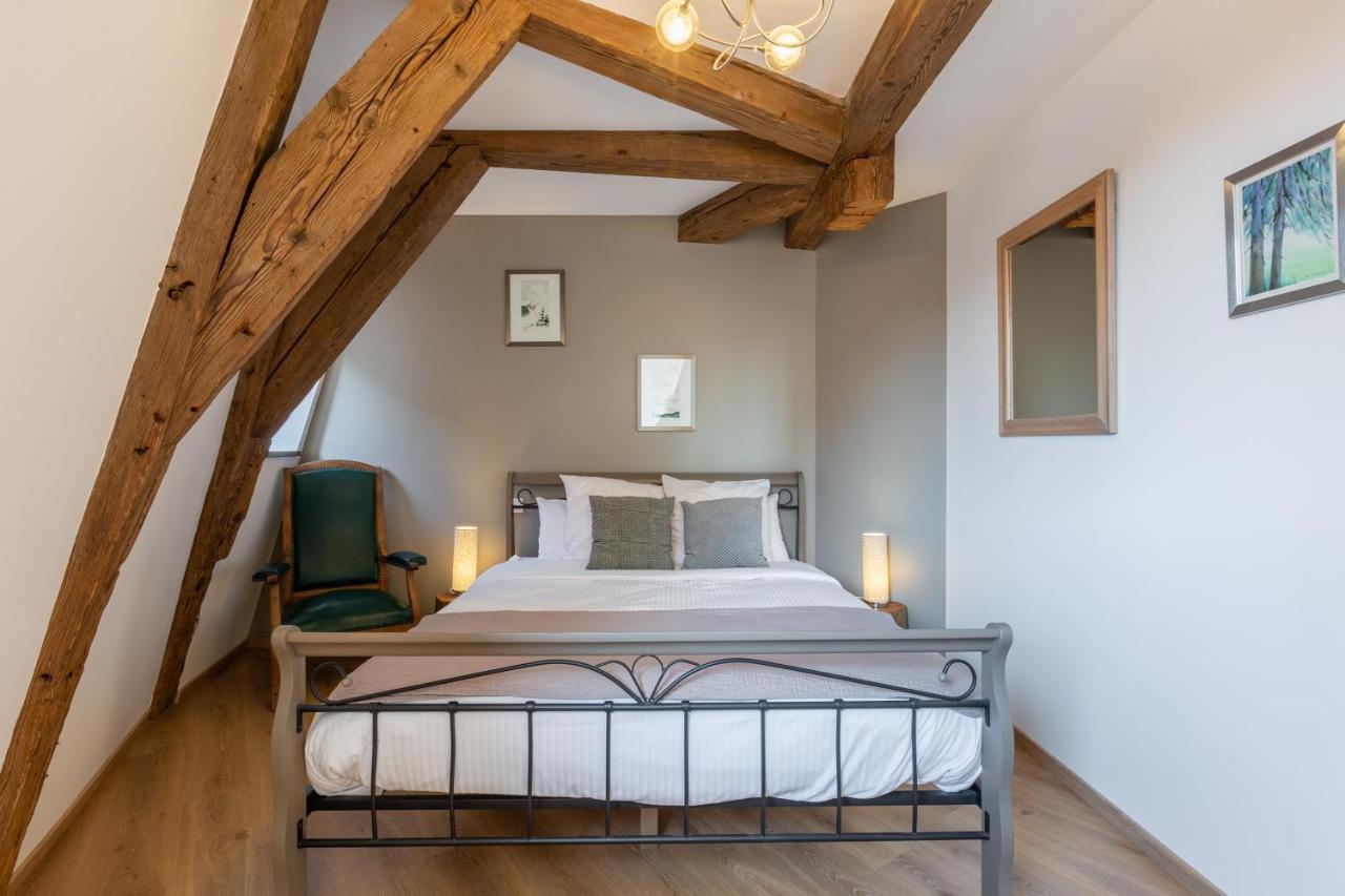 Le Rhenanus Jacques Spiegel - Ideal Pour Un Couple - Appartement Au Calme - Parking Gratuit Sélestat Exterior foto