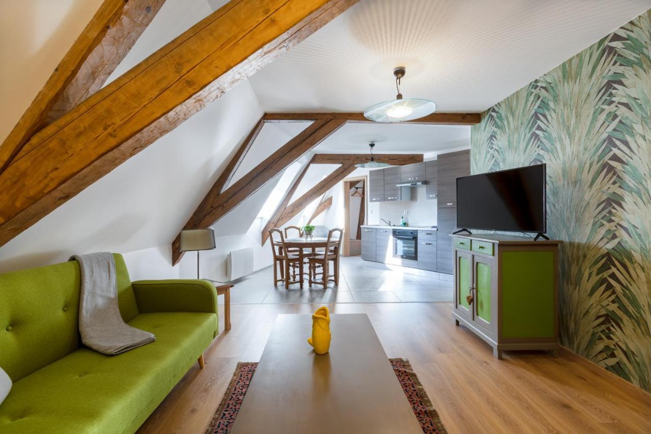 Le Rhenanus Jacques Spiegel - Ideal Pour Un Couple - Appartement Au Calme - Parking Gratuit Sélestat Exterior foto
