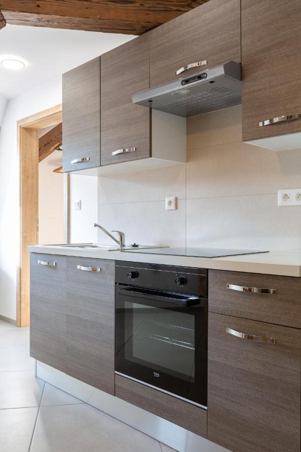 Le Rhenanus Jacques Spiegel - Ideal Pour Un Couple - Appartement Au Calme - Parking Gratuit Sélestat Exterior foto
